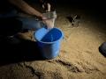夜は幻想的なウミホタル、翌朝は
