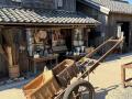 離島 小豆島で過ごす夏休みは格別　39年目の夏、二十