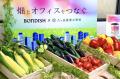 【コスパ・タイパに、“メンパ”も叶う】社員食堂の「野