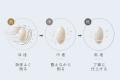 本格精米を、ご家庭へ。家庭用精米機「匠味米（YE-RC5