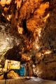 テラチャージ、CAVE OKINAWAにEV用普通充電器2基をサ