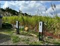 テラチャージ、CAVE OKINAWAにEV用普通充電器2基をサ