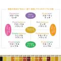 【蜂蜜専門店ミールミィ】8月3日「はちみつの日」を記 【蜂蜜専門店ミールミィ】8月3日「はちみつの日」を記