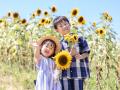【8月開花予想】夏風に揺れる、ひまわりの丘～7万本の