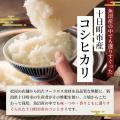 松屋フーズの食品リサイクル肥料で育てた十日町市産コ