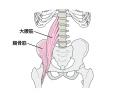 デスクワーク時代の姿勢を「腸腰筋」から解説　utf-8