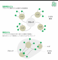 人口減少社会における新たな都市像を探る共同研究プロ