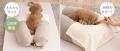 愛犬用介護ベッドを開発して10年のエムールねどっこか