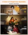 【Glocusent】7月22日より「#私の読書空間」SNSフォト
