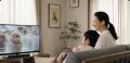 【10%OFF限定セール】「テレビの音が聞こえにくい」「