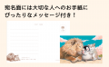 10万部突破の人気シリーズがポストカードブックで登場