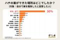 ハチの巣は自分で駆除できる？74％が自力駆除を経験