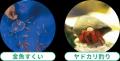 【7月31日～8月18日開催】夏休み・お盆休みは屋内で涼