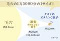 【タカミ】一滴に1500兆個のビタミンC*。新美容液「黄