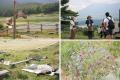 【9月の北軽井沢、360°のキャベツ畑へ】嬬恋村の日常