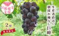 【茨城県常陸太田市】梨の定期便 新登場 ＆ ぶどうの