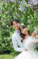 北海道の春を彩るライラックで叶えるウェディングフォ