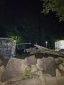 RDTA 国際救助犬ナイター試験 　１５ペア合格