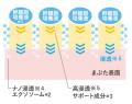 【2冠受賞】「ウルリス ロングアイラッシュ MIZUセラ