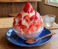 来て、楽しんで、ポイントがたまる。二子玉川ライズの