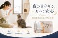 預けている“夜”も、スタッフがそばに。猫専門ホテル『
