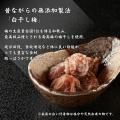 地元愛の発想から生まれた紀州飯、「鯛めしの素」