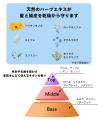 近畿2府4県の美容室10サロン限定「みんなのシャンプー