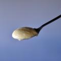 脱脂粉乳を麹発酵させた独自素材で洋菓子に新たなおい 脱脂粉乳を麹発酵させた独自素材で洋菓子に新たなおい