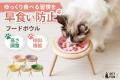 「累計販売数1万個を突破したPetFunフードボウルシリ 「累計販売数1万個を突破したPetFunフードボウルシリ