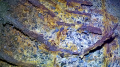 下水道点検に「水中ドローン」という新戦力――スペース