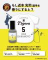 ＜球団承認グッズ＞阪神タイガース13選手＋藤川監督＋