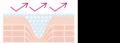 ＫｉＳＳから光を放つような透明感※１がつづく※２ベー