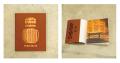 【京都岡崎 蔦屋書店】ペインター 金田大巧と写真家 【京都岡崎 蔦屋書店】ペインター 金田大巧と写真家