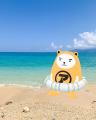 アパマンショップ公式キャラクター「べあ～君」と夏の