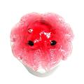 【期間限定催事】かわいい！おもしろい！動物グッズが