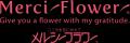 夏の風物詩・花火に見立てたお花が勢ぞろい！『花火フ