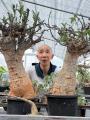 ひょうろく、植物変態への道を突き進む！『変態植物倶