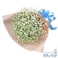 「コブクロ花日和」プロジェクト始動 メジャーデビュ 「コブクロ花日和」プロジェクト始動 メジャーデビュ