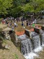 【愛知県・瀬戸市】夏休みは毎日営業！今年の夏の川遊