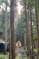 森の涼、山奥の水源地から引いた水風呂、ふわふわ台湾