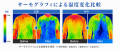 【夏本番の猛暑対策】“風だけ”に頼らない、ペルutf-8