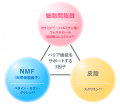 低刺激性化粧品『ノブ』の人気商品「ノブ III バリ 低刺激性化粧品『ノブ』の人気商品「ノブ III バリ