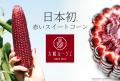 種苗メーカーと地元カフェチェーン 奈良県の老舗2社 種苗メーカーと地元カフェチェーン 奈良県の老舗2社