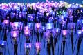【新潟県小千谷市】イルミネーションイベント「オヂヤ