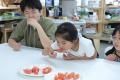 実施レポート子どもたちを対象とした3Days夏休み特別