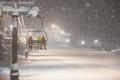 長野県白馬村発の地域エネルギー会社「雪だるま電力」