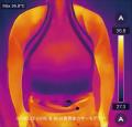 【夏限定】表面温度マイナス10.5℃を実現するハイブリ
