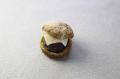 「国産ドーナツ専門店STANDARD DONUTS（スタンダード