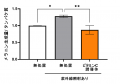 【独自研究】シミ生成に関わる微弱炎症を抑制するメカ 【独自研究】シミ生成に関わる微弱炎症を抑制するメカ