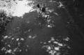 嶌村吉祥丸 写真展「what matters」